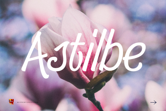 Astilbe: A Handwritten Font for Editorial Design