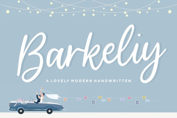 Barkeliy: A Real-World Script Amp Review