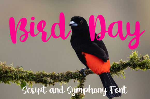 Bird Day Font: A Handwritten Typeface for Your Brand