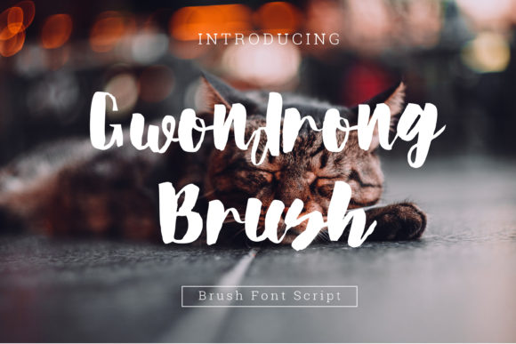 Gwondrong Brush: A Marketer's Review of This Bold Script Font