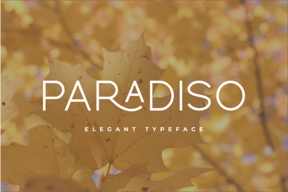 Paradiso: A Modern Script Font for Web Design