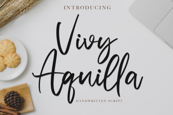 Vivy Aquilla: A Modern Handwritten Font for Web Design